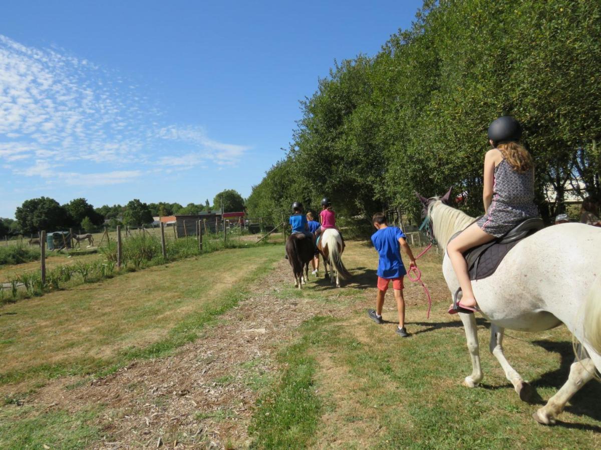 Lodge Les P'Tites Maisons Dans La Prairie Sallertaine Esterno foto